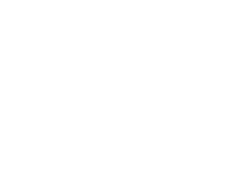 Logo Zins Print
